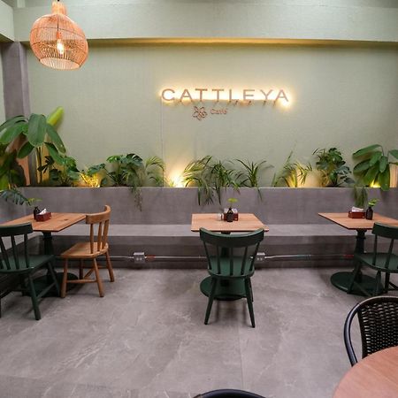 Apartamentos Housy Laureles Medellín Eksteriør billede